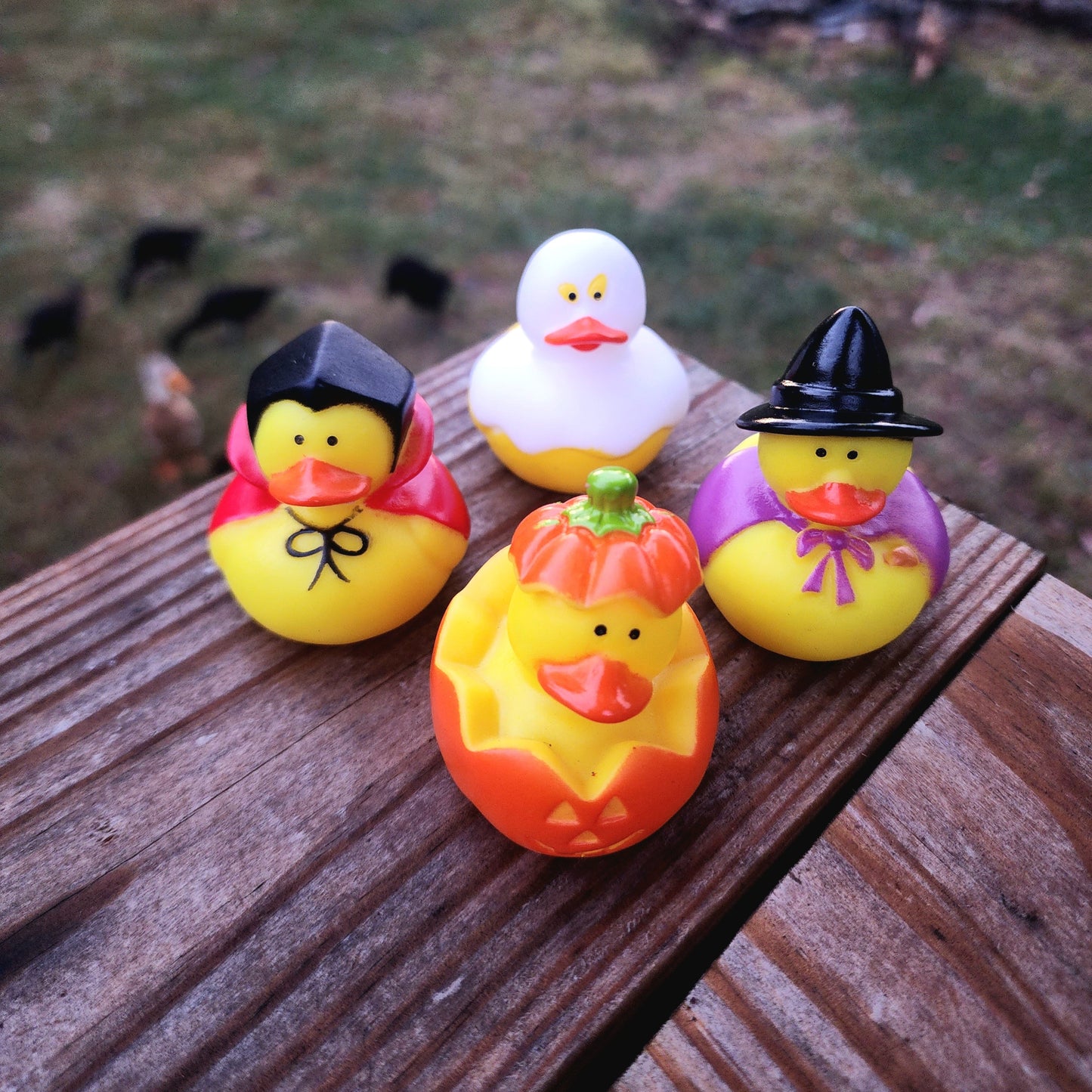 Halloween Costume Themed Yellow Rubber Duck Ducks - Pumkin Witch Vampire Ghost - Individuals or Pack of 4