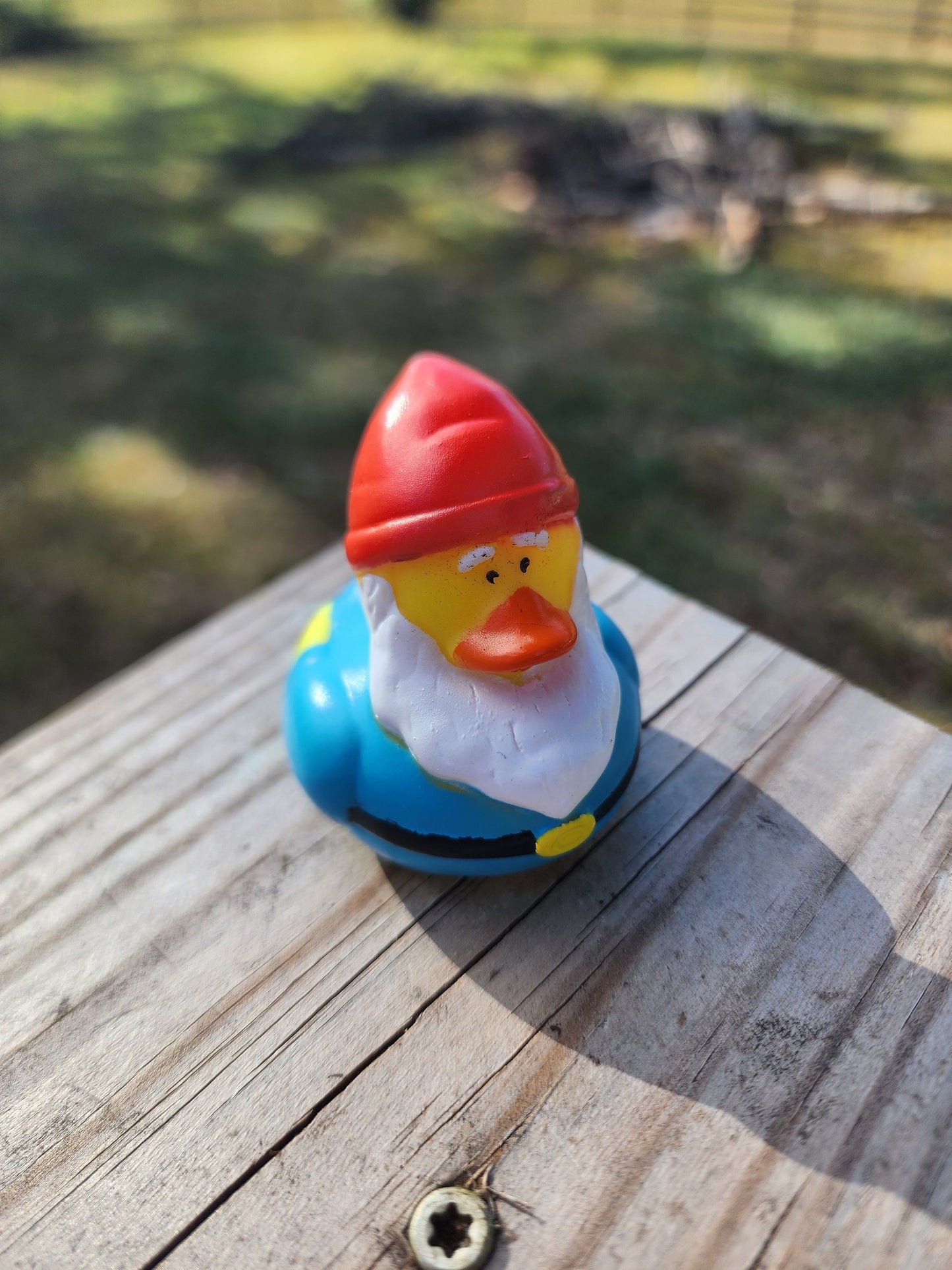 Garden Gnome Themed Yellow Rubber Ducks Gift for Friend Springtime Office Desk Toy Gnome Gift - Red Green Blue - Individuals or Pack of 3