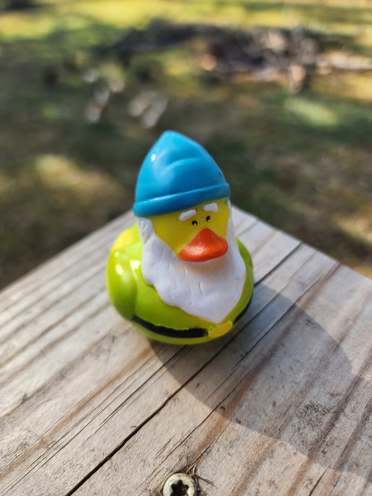 Garden Gnome Themed Yellow Rubber Ducks Gift for Friend Springtime Office Desk Toy Gnome Gift - Red Green Blue - Individuals or Pack of 3