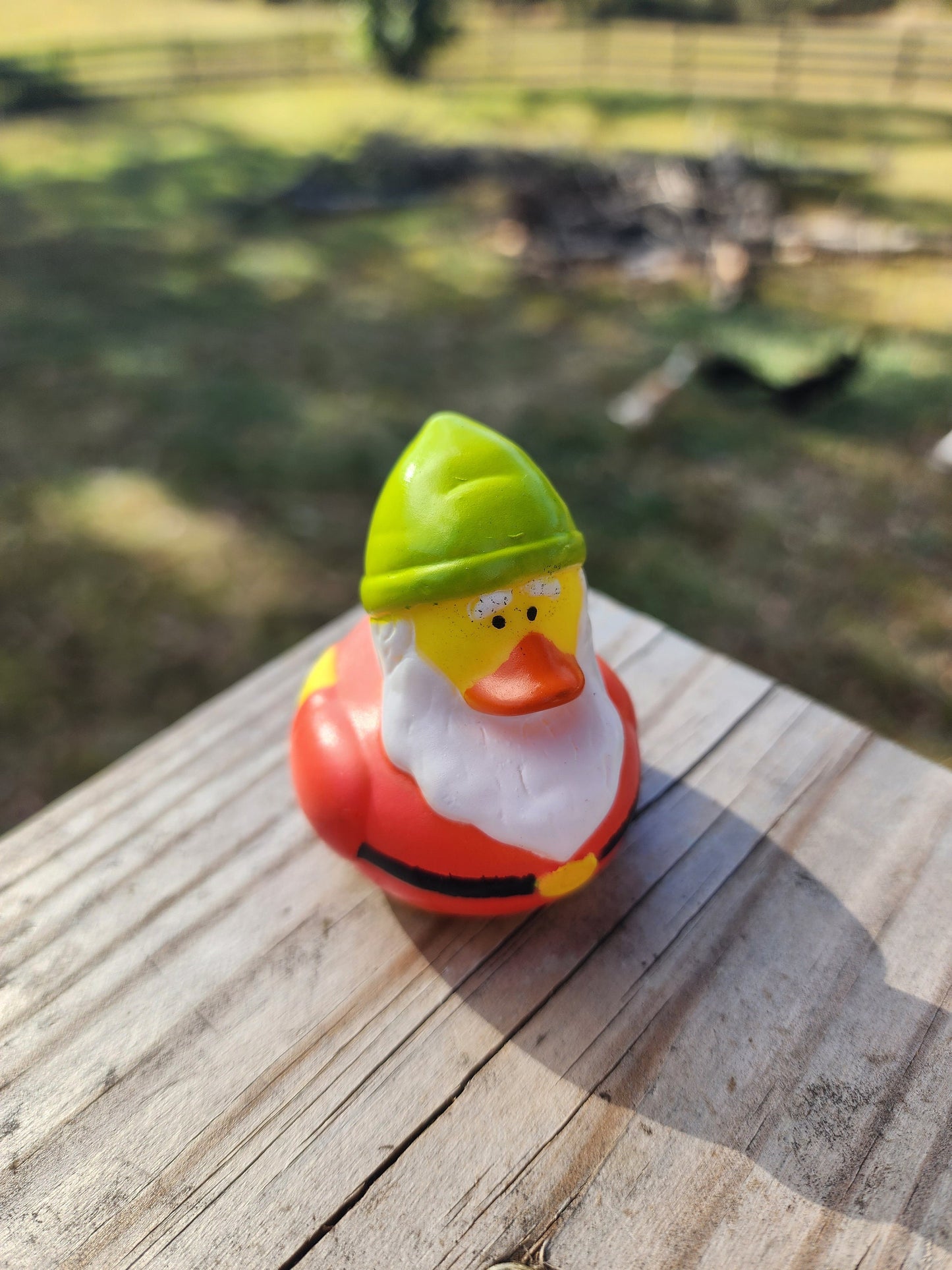 Garden Gnome Themed Yellow Rubber Ducks Gift for Friend Springtime Office Desk Toy Gnome Gift - Red Green Blue - Individuals or Pack of 3