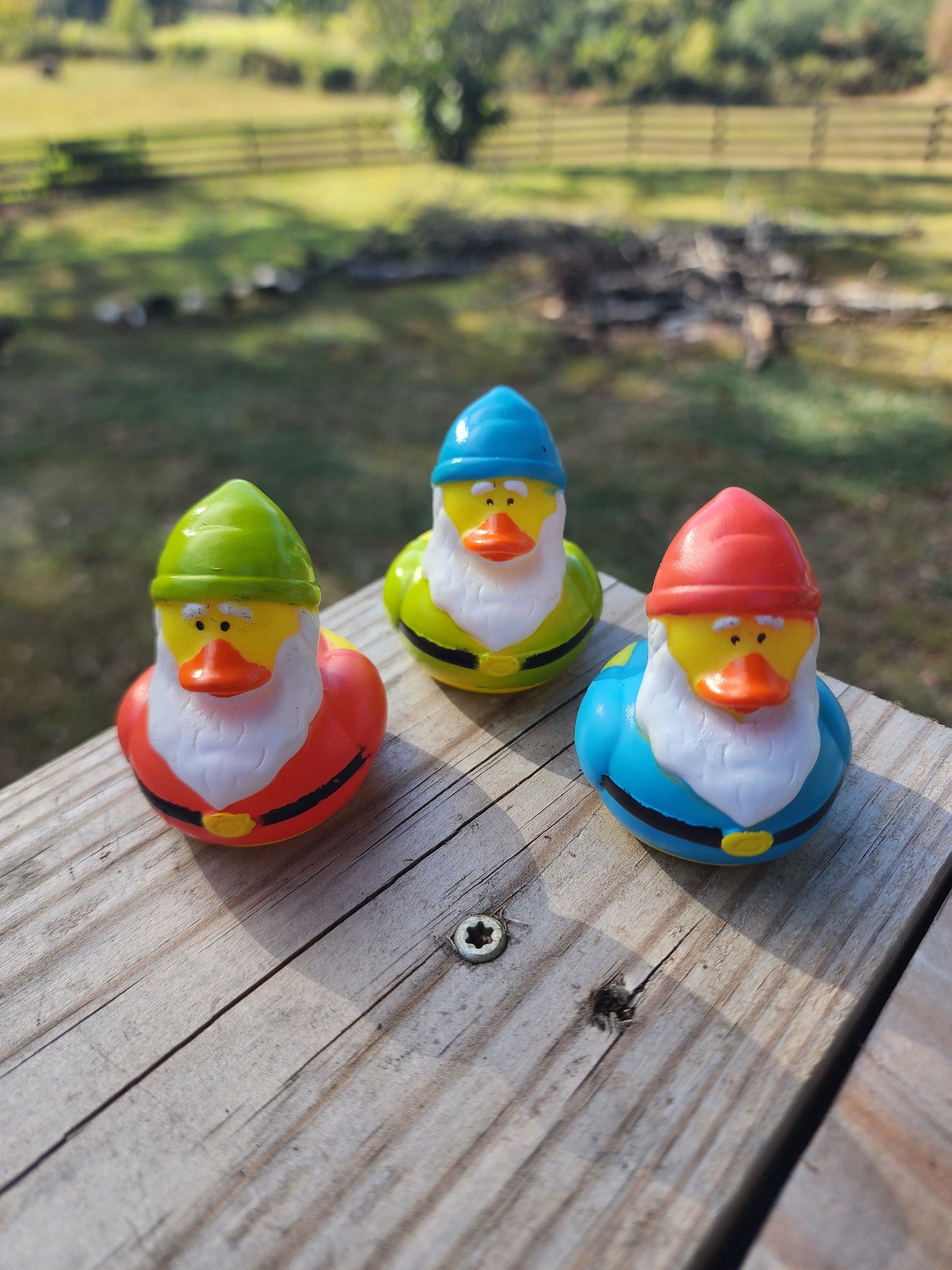 Garden Gnome Themed Yellow Rubber Ducks Gift for Friend Springtime Office Desk Toy Gnome Gift - Red Green Blue - Individuals or Pack of 3