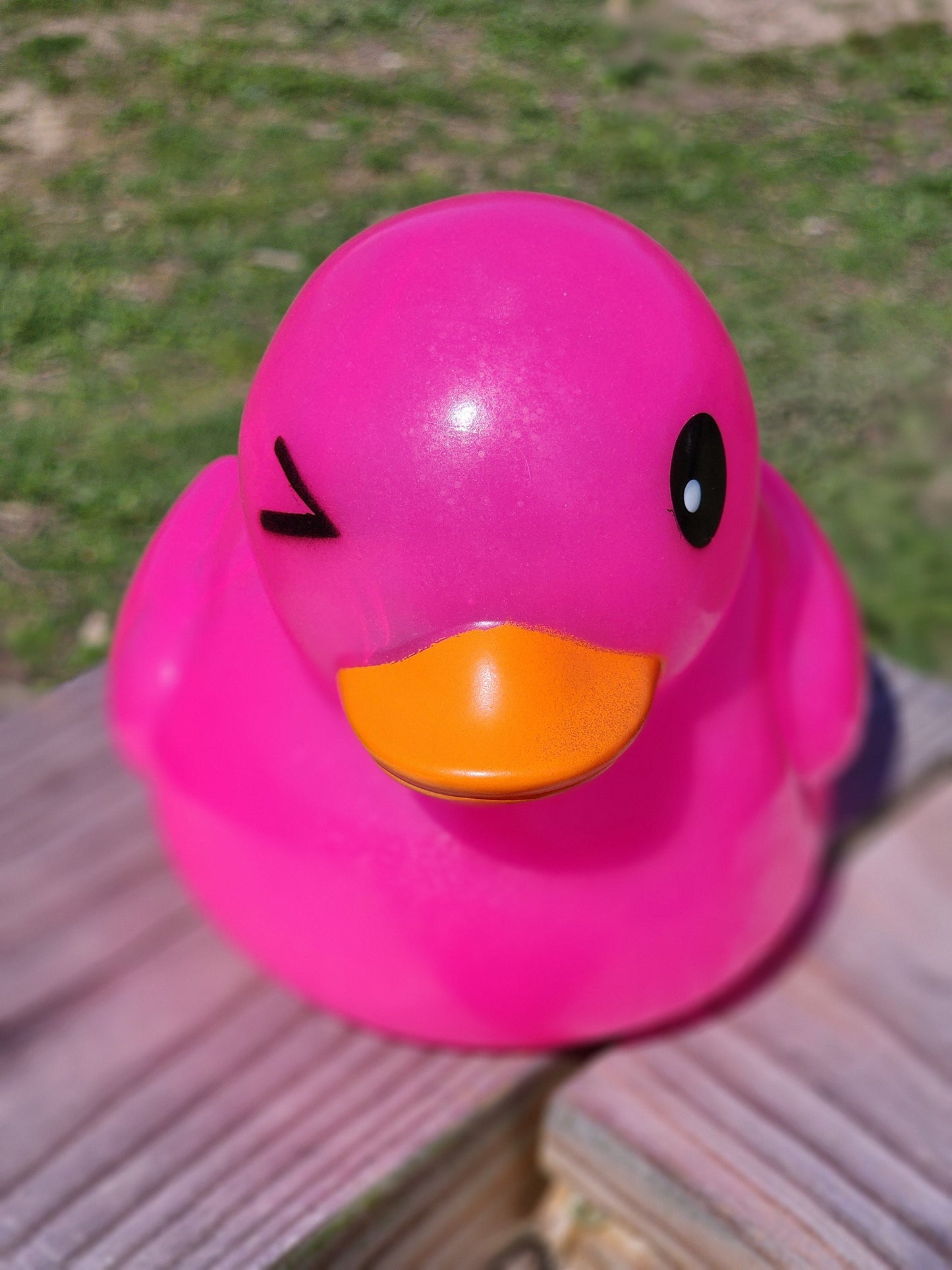 Large Neon Fluorescent Themed Pink Rubber Duck Ducks Friend Gift Duck Lover Gift Office Desk Toy - Pink Neon Black - Individuals