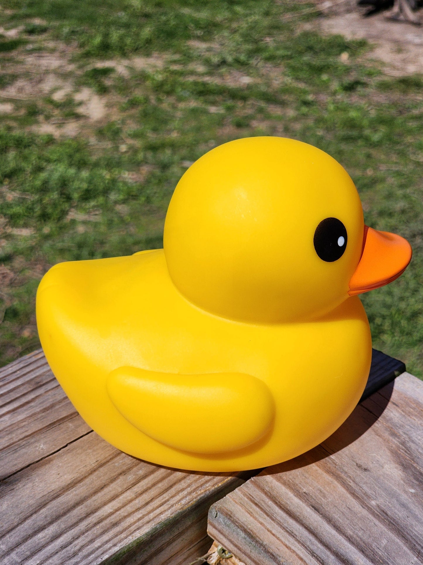 Large Matte Color Themed Yellow Rubber Duck Ducks Friend Gift Duck Lover Gift Office Desk Toy - Yellow Orange Black - Individuals