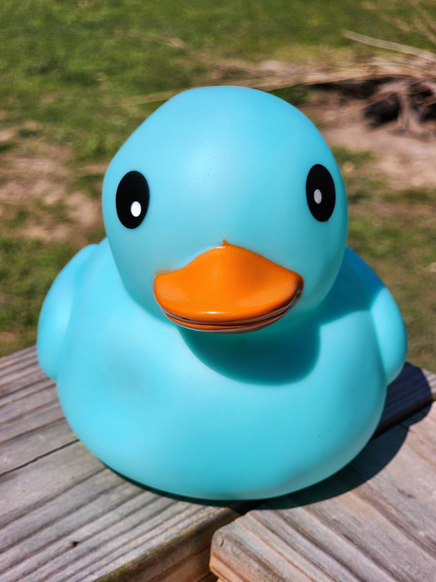 Large Matte Color Themed Blue Rubber Duck Ducks Friend Gift Duck Lover Gift Office Desk Toy - Blue Orange Black - Individuals