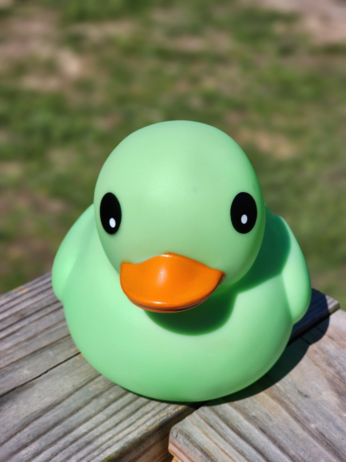 Large Matte Color Themed Green Rubber Duck Ducks Friend Gift Duck Lover Gift Office Desk Toy - Green Orange Black - Individuals