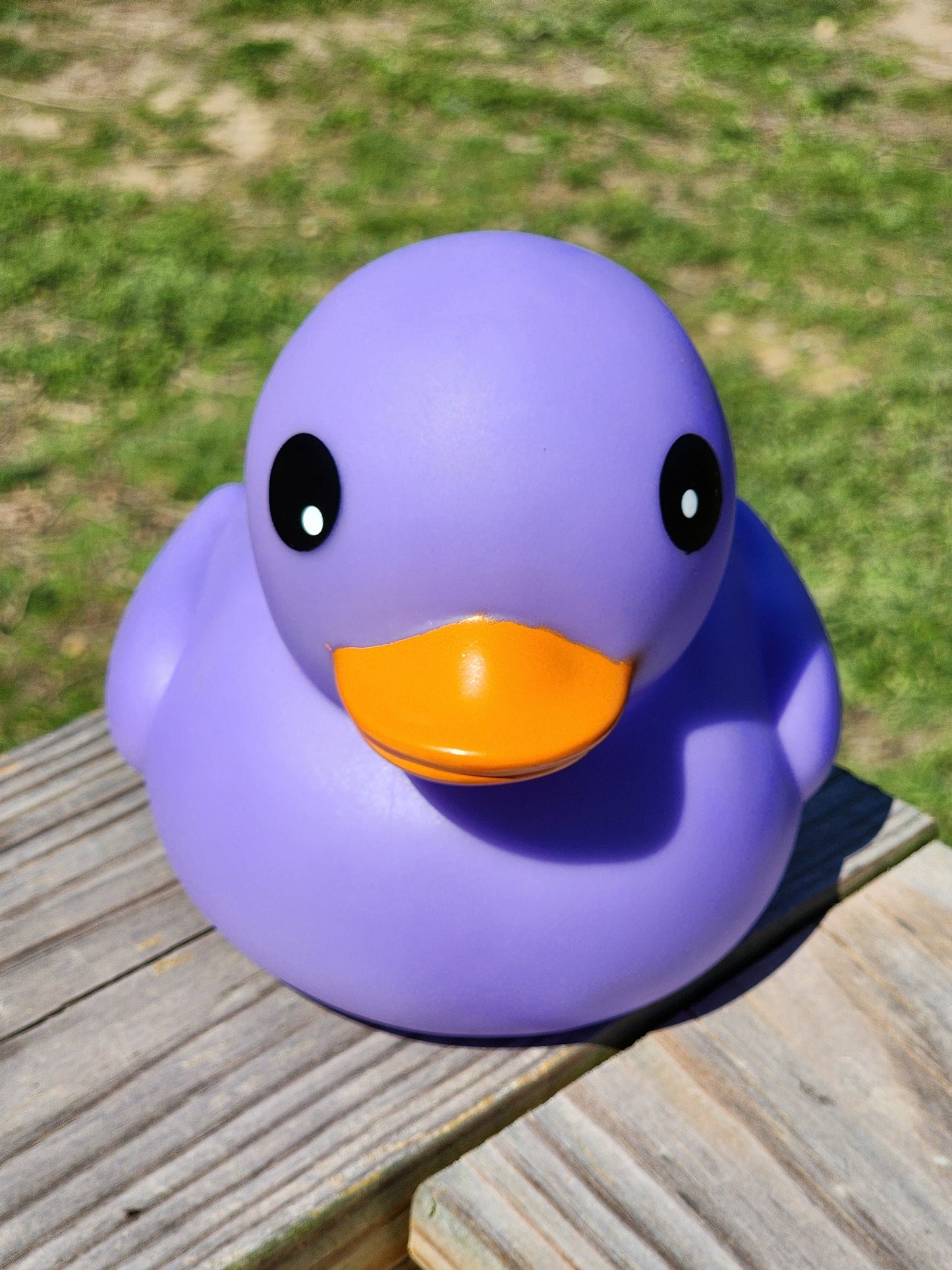 Large Matte Color Themed Purple Rubber Duck Ducks Friend Gift Duck Lover Gift Office Desk Toy - Purple Orange Black - Individuals