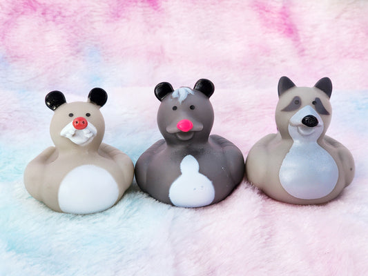 Critter Rubber Ducks | Cute Novelty Gifts | Raccoon Lover | Office Desk Toy | Animal Gifts | Forest Lover | Gift for Friend | Individual